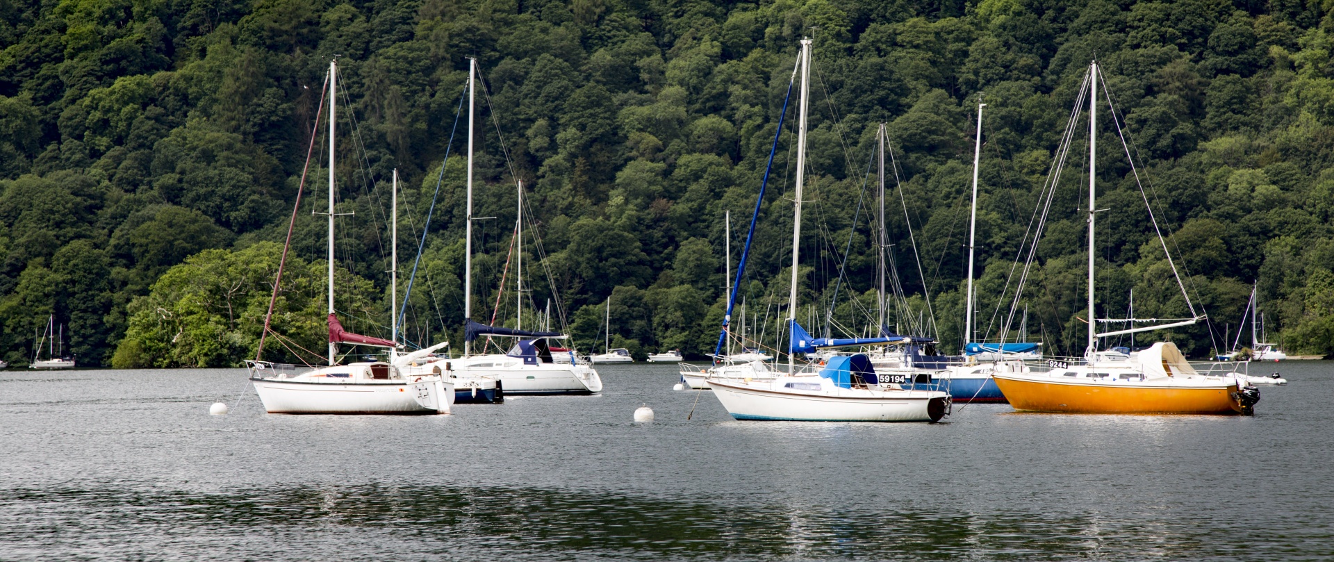 marina boat sail free photo