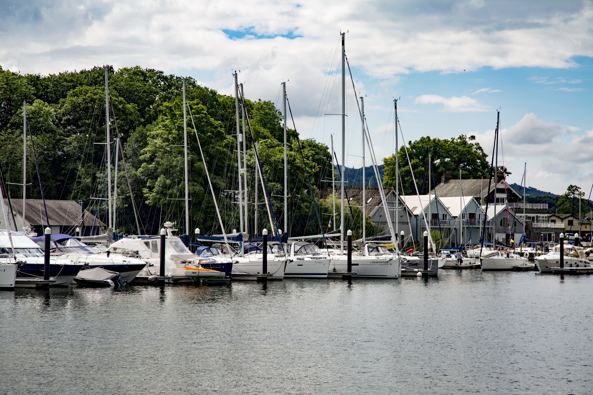 marina boat sail free photo