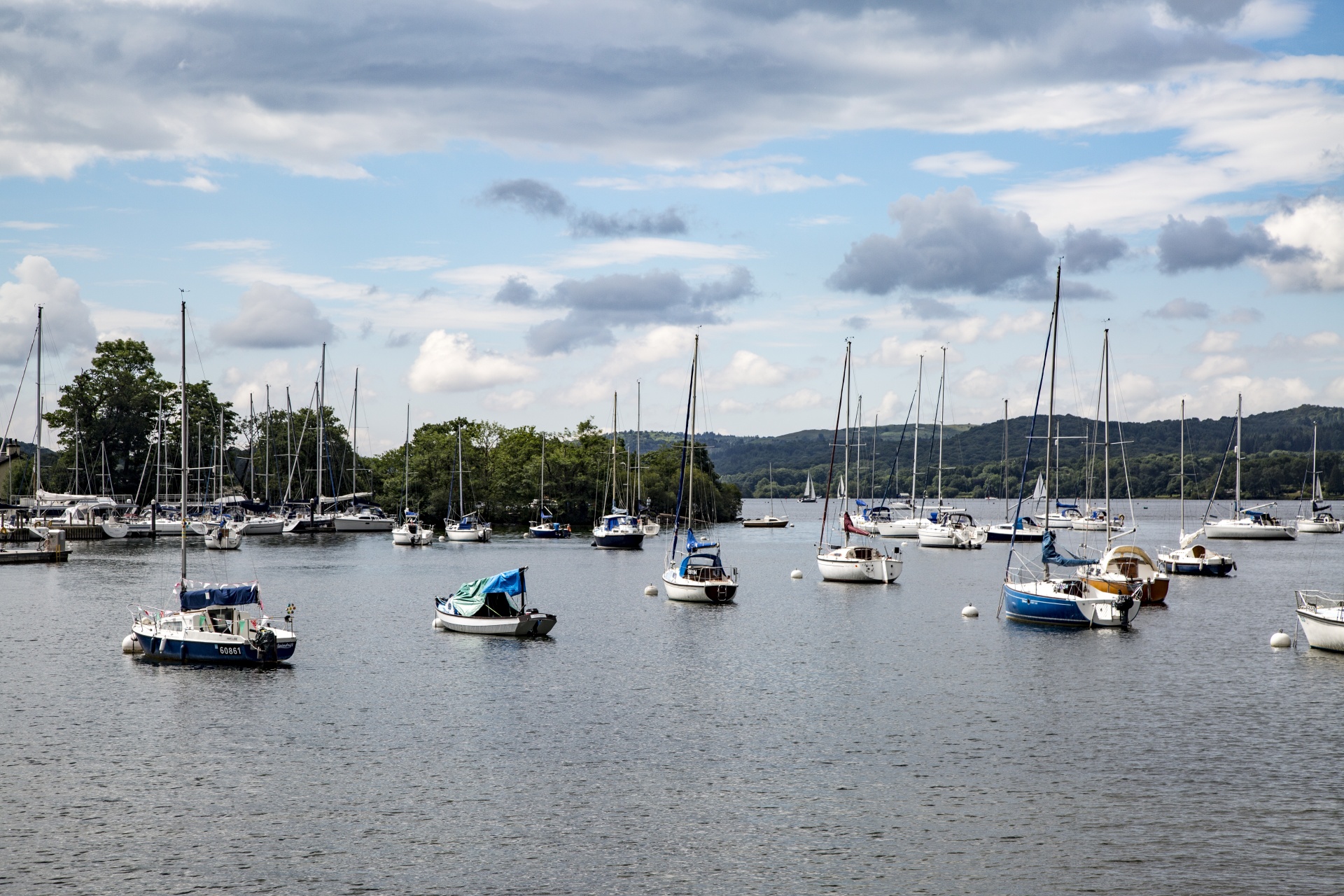 marina boat sail free photo