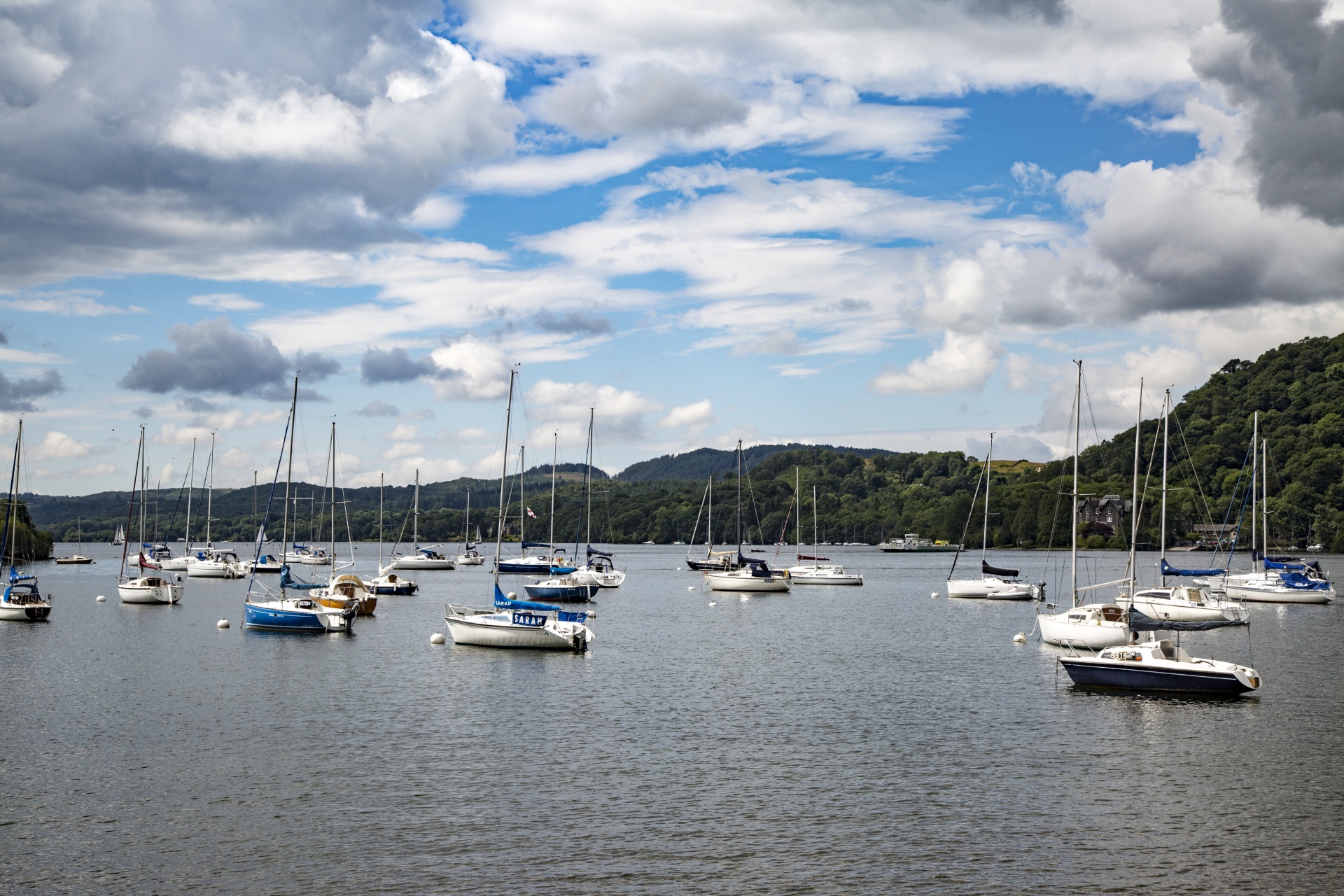 marina boat sail free photo