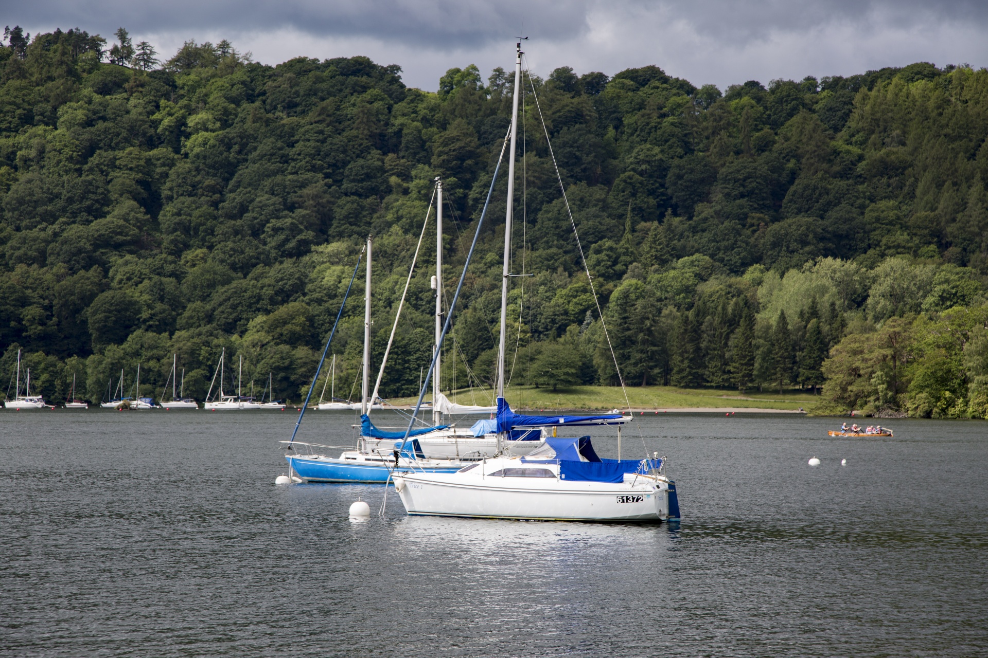 marina boat sail free photo