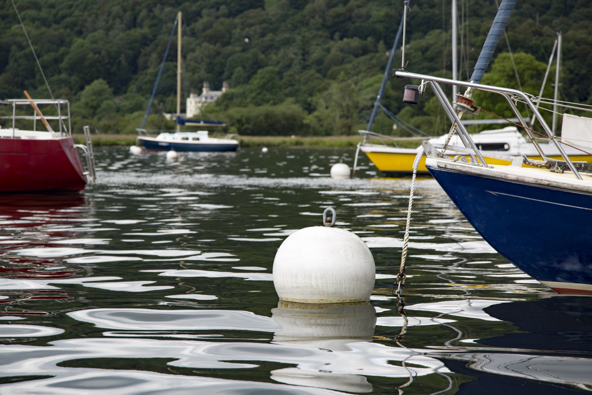 marina boat sail free photo