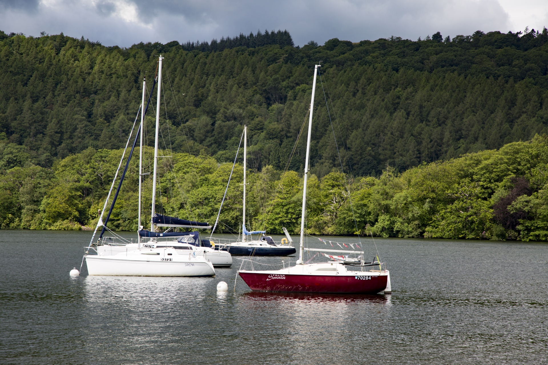 marina boat sail free photo