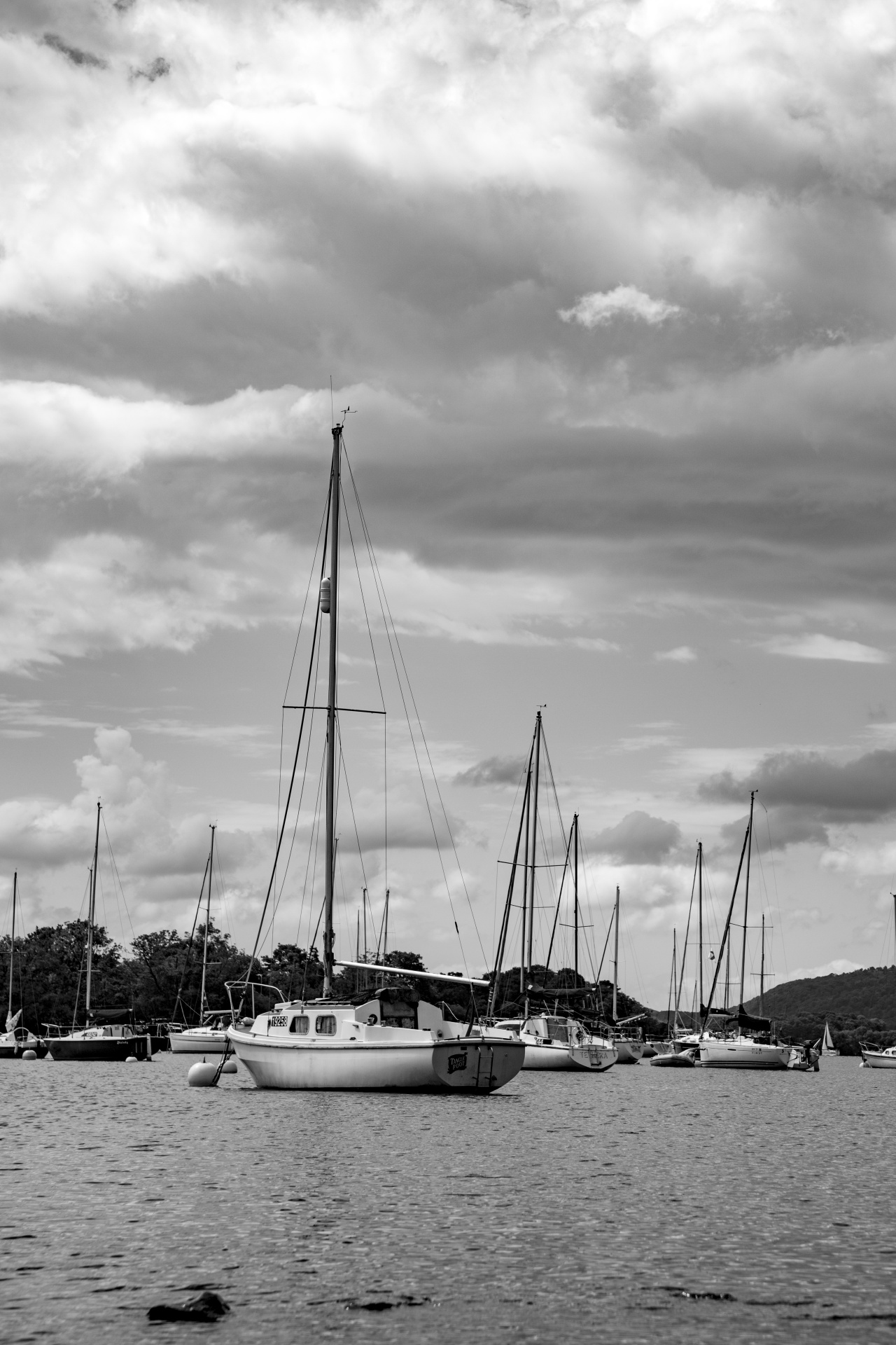 marina boat sail free photo