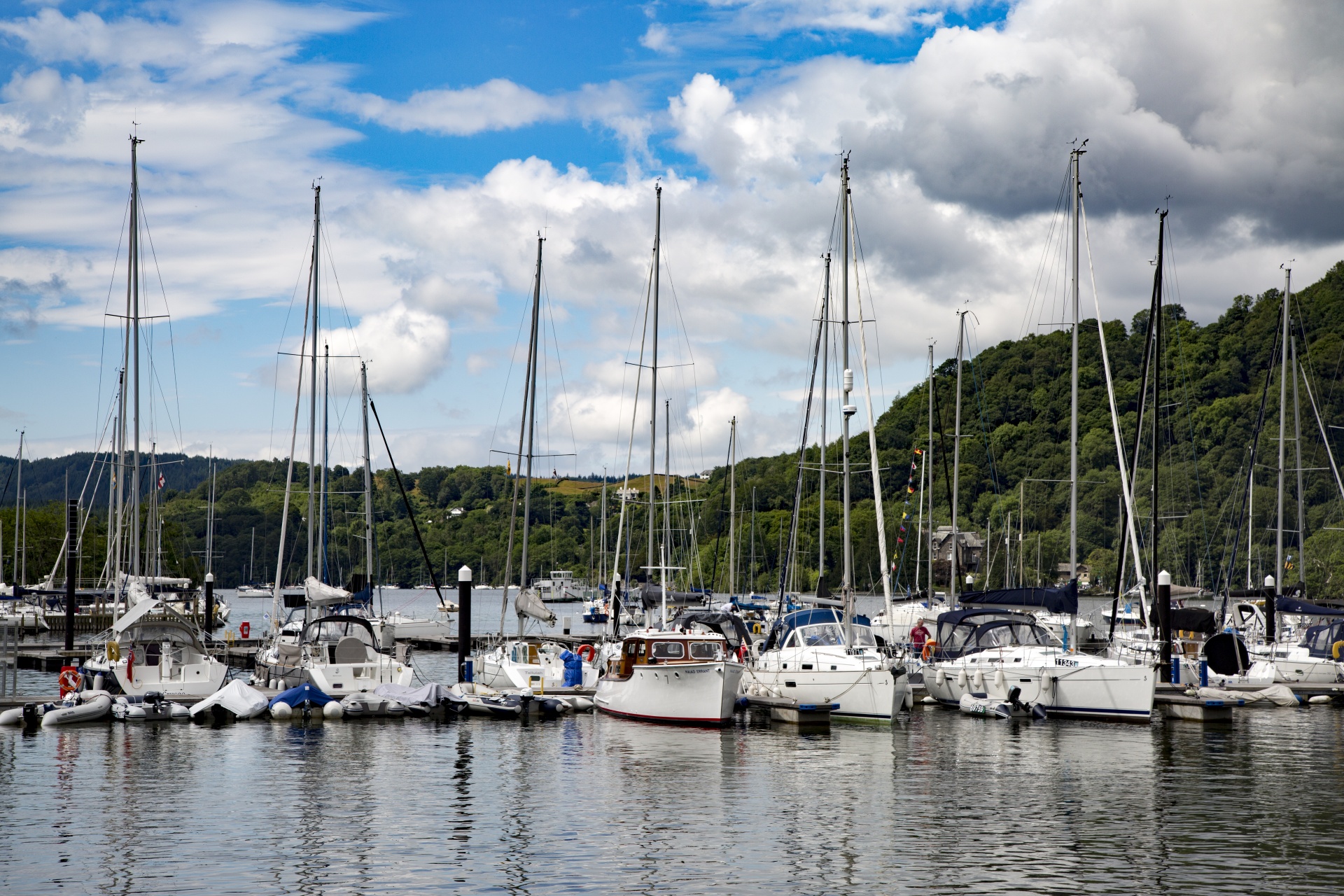 marina boat sail free photo