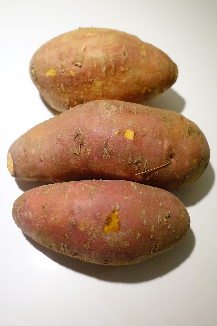 yam ipomoea batatas sweet-potato free photo