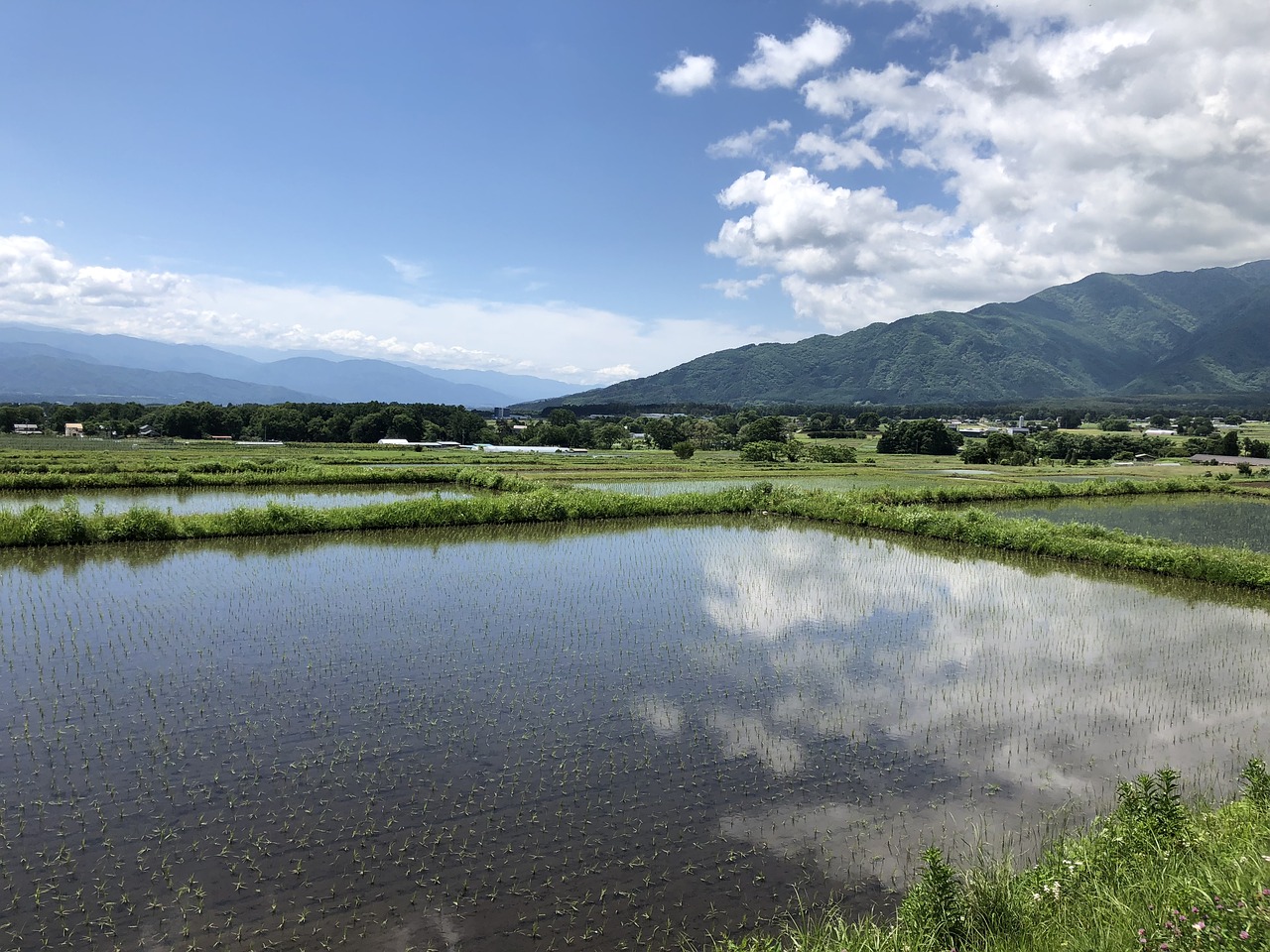 yamada's rice fields  natural  landscape free photo