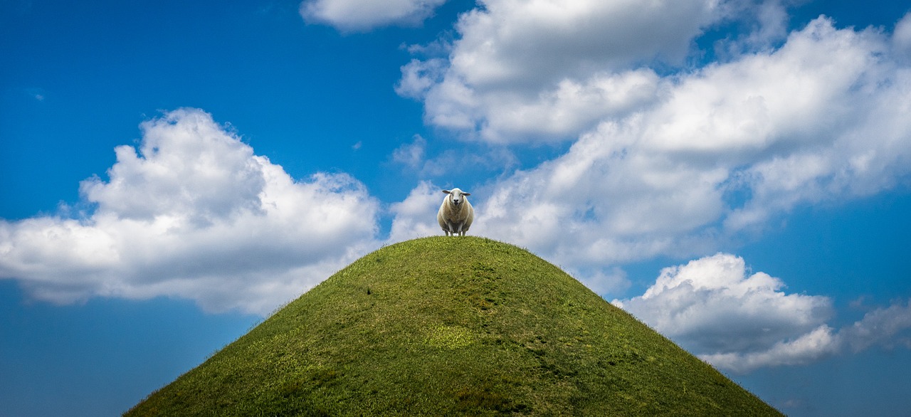 yang animal cloud free photo