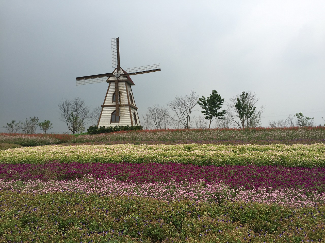 yangzhou wedding photography scene windmill free photo