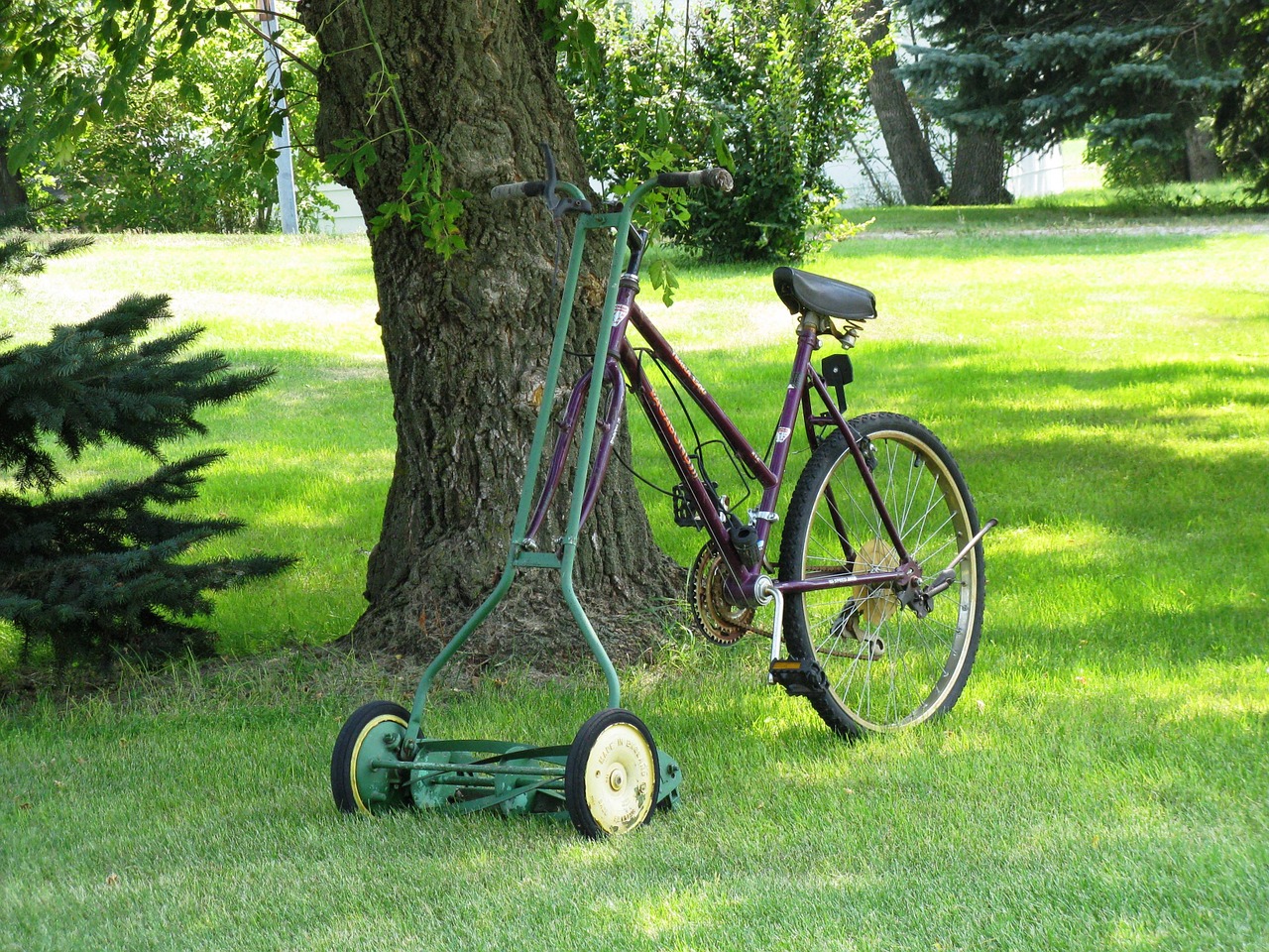 yard bike lawn mower free photo
