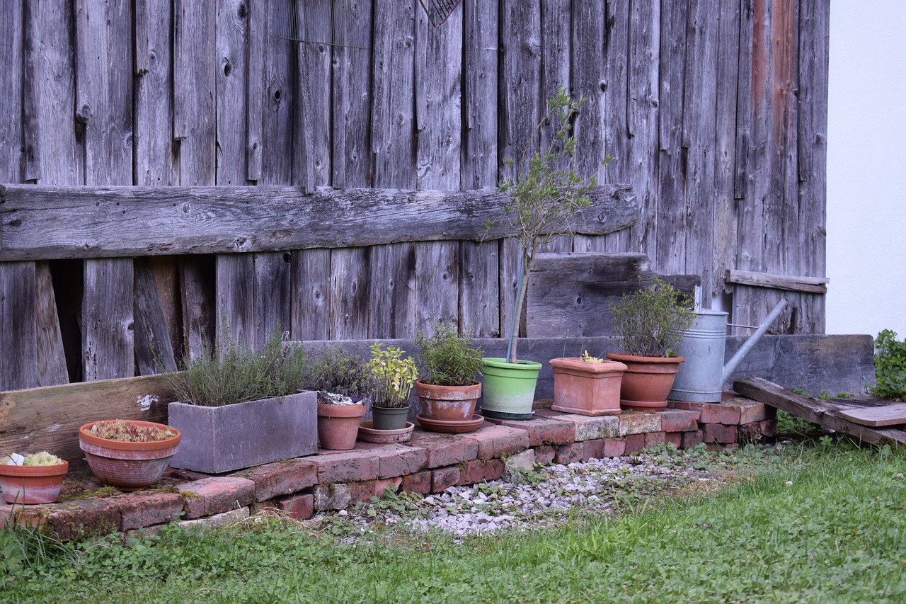 yard garden potted plants free photo