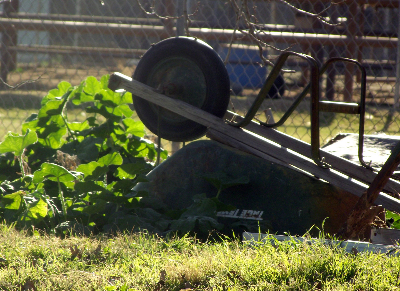 yard wheelbarrow rustic free photo