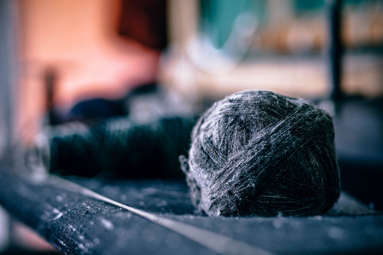 yarn thread sew free photo