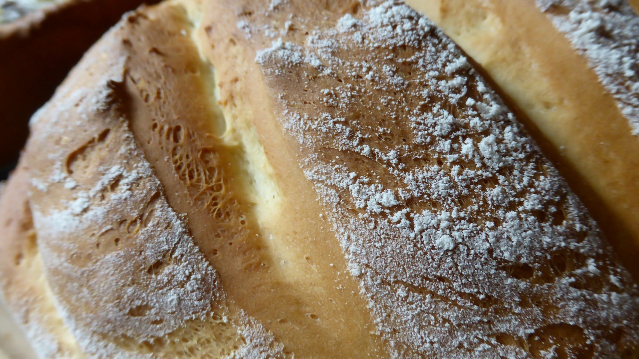 yeast bread bread dough free photo