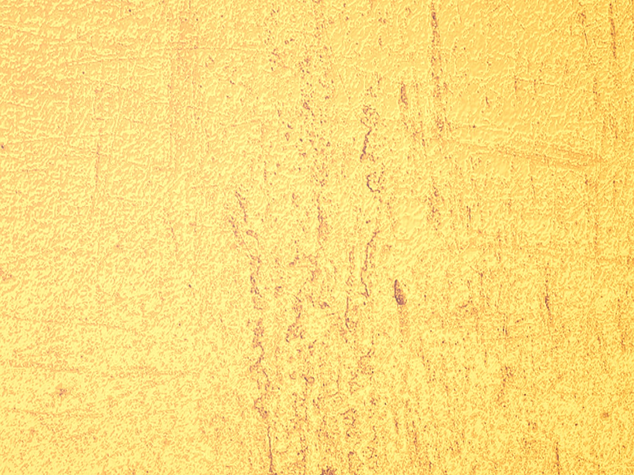 yellow grain texture free photo