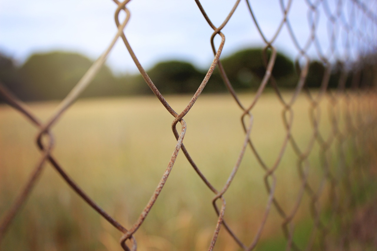 yellow green rural free photo