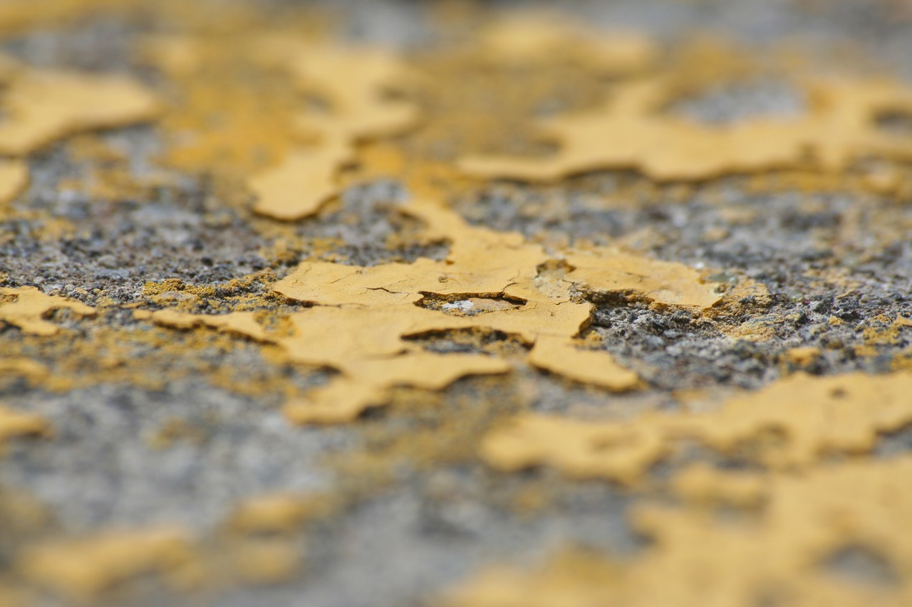 yellow asphalt stains free photo