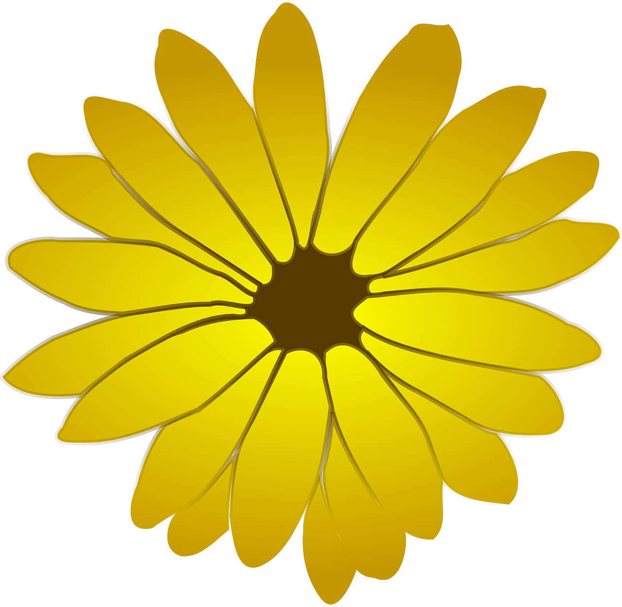 yellow flowers dandelion free photo