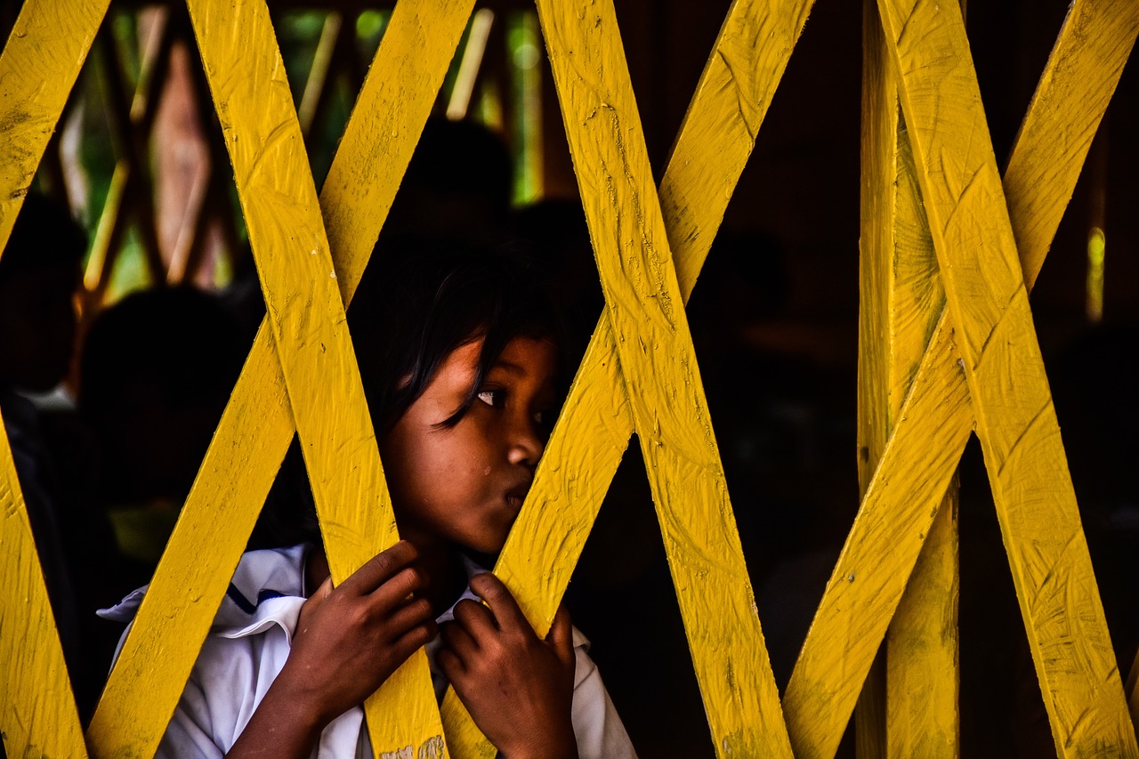 yellow wood fence free photo