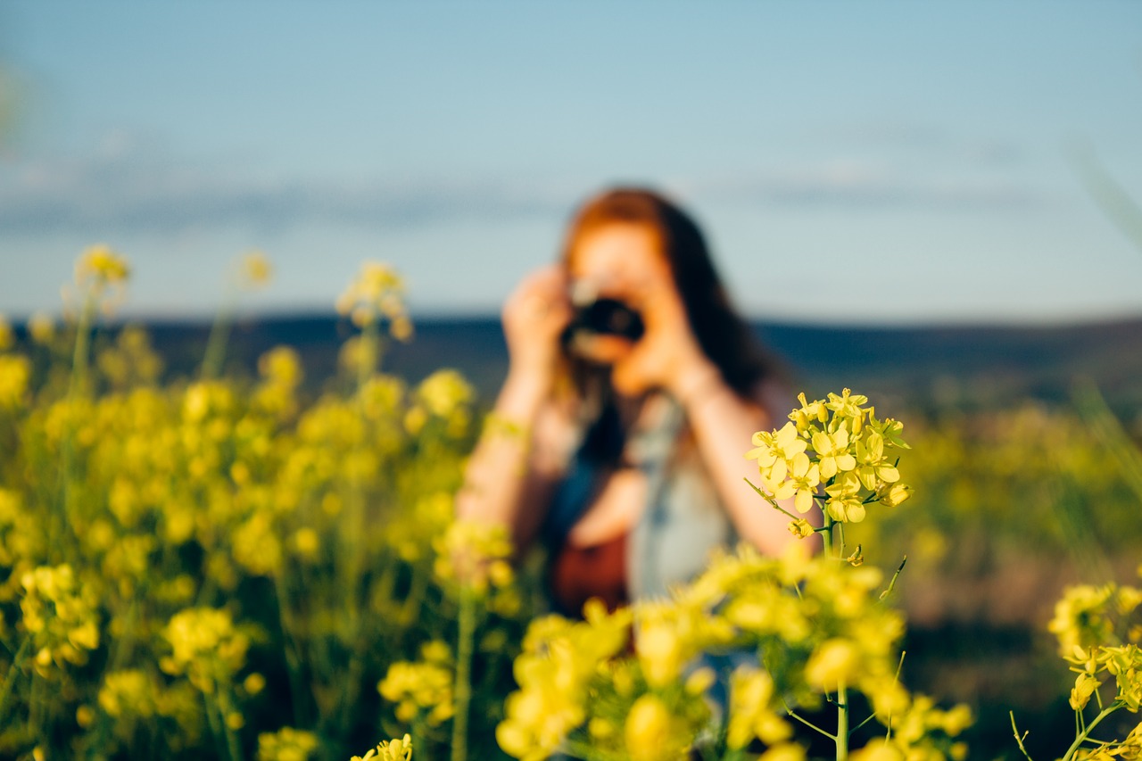 yellow flowers garden free photo