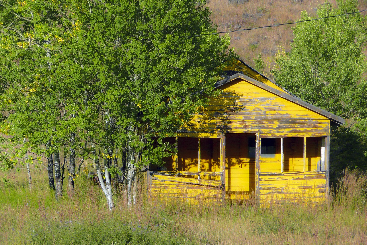 yellow wooden shed building free photo