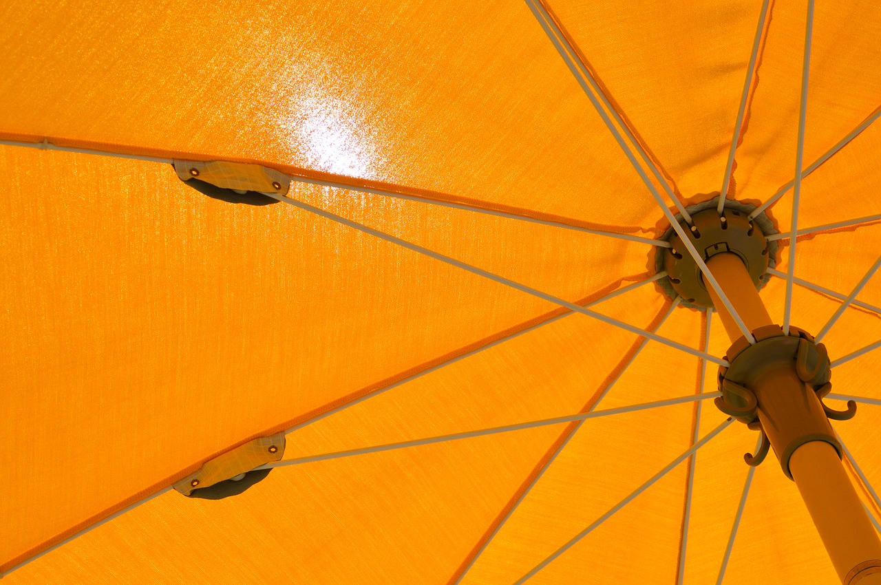yellow  parasol  summer free photo