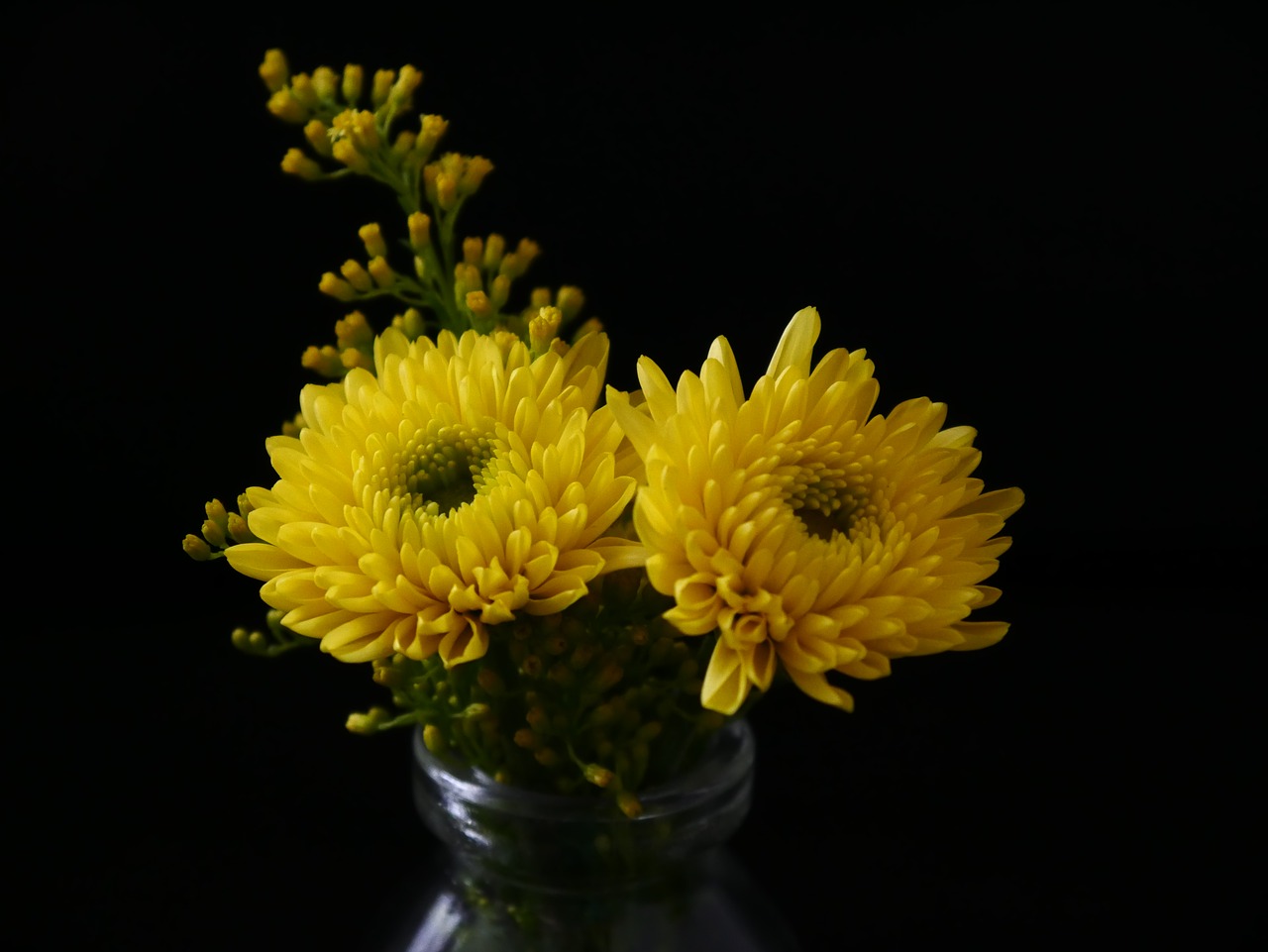 yellow  flower  flowers free photo