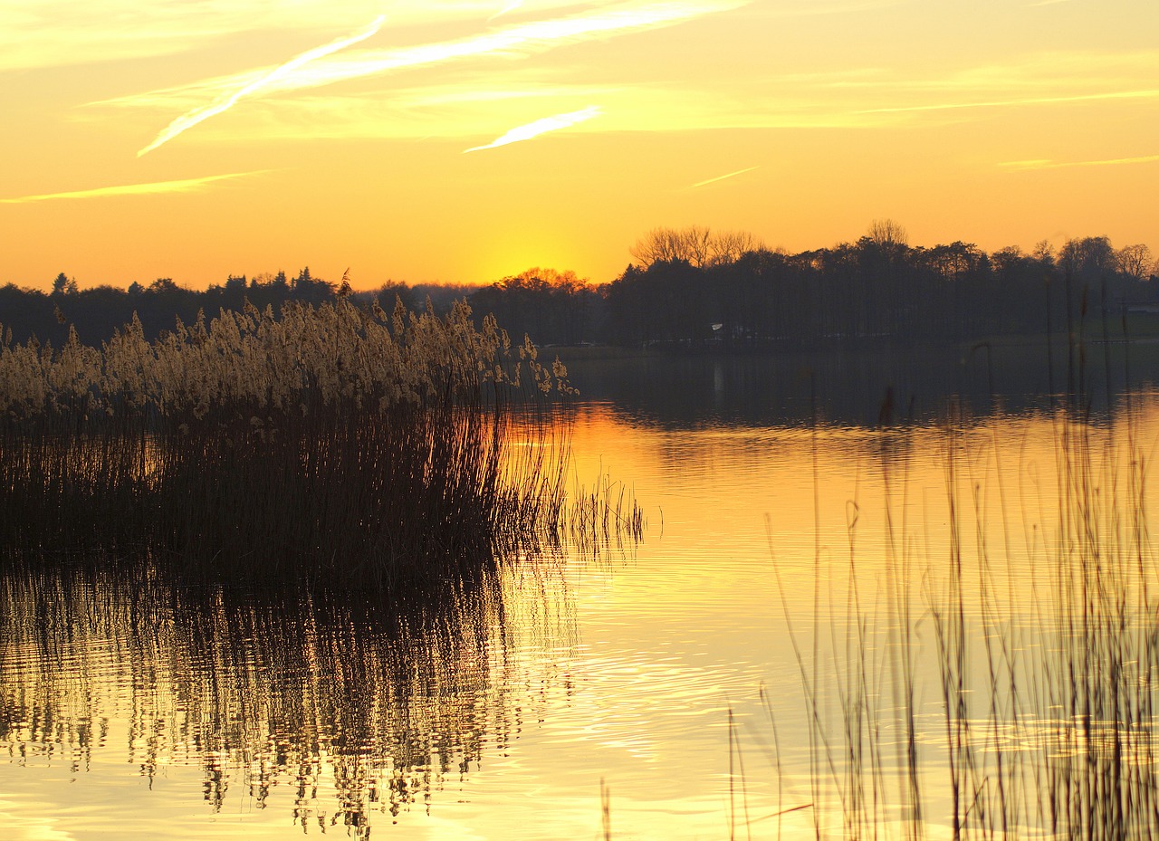 yellow  sunset  sky free photo