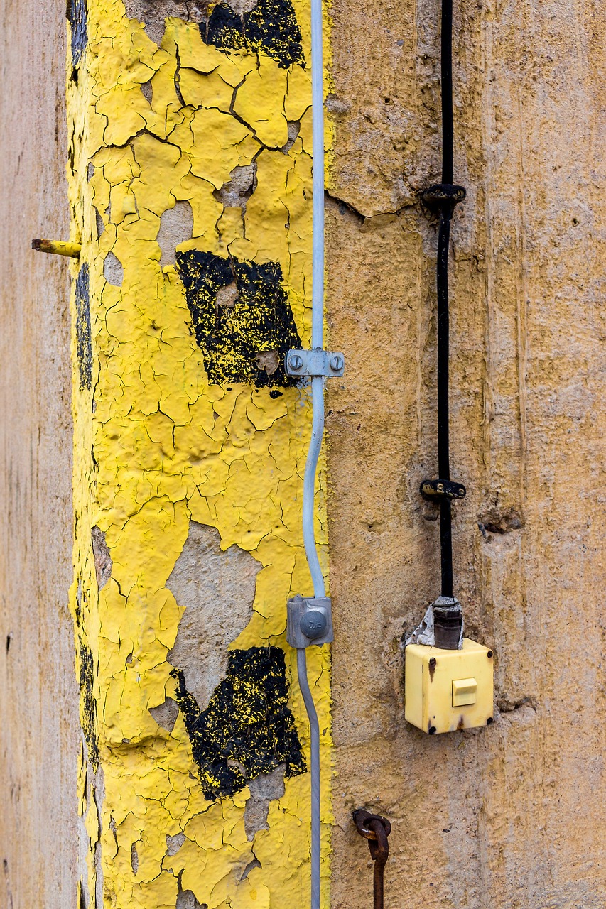 yellow  black  wall free photo