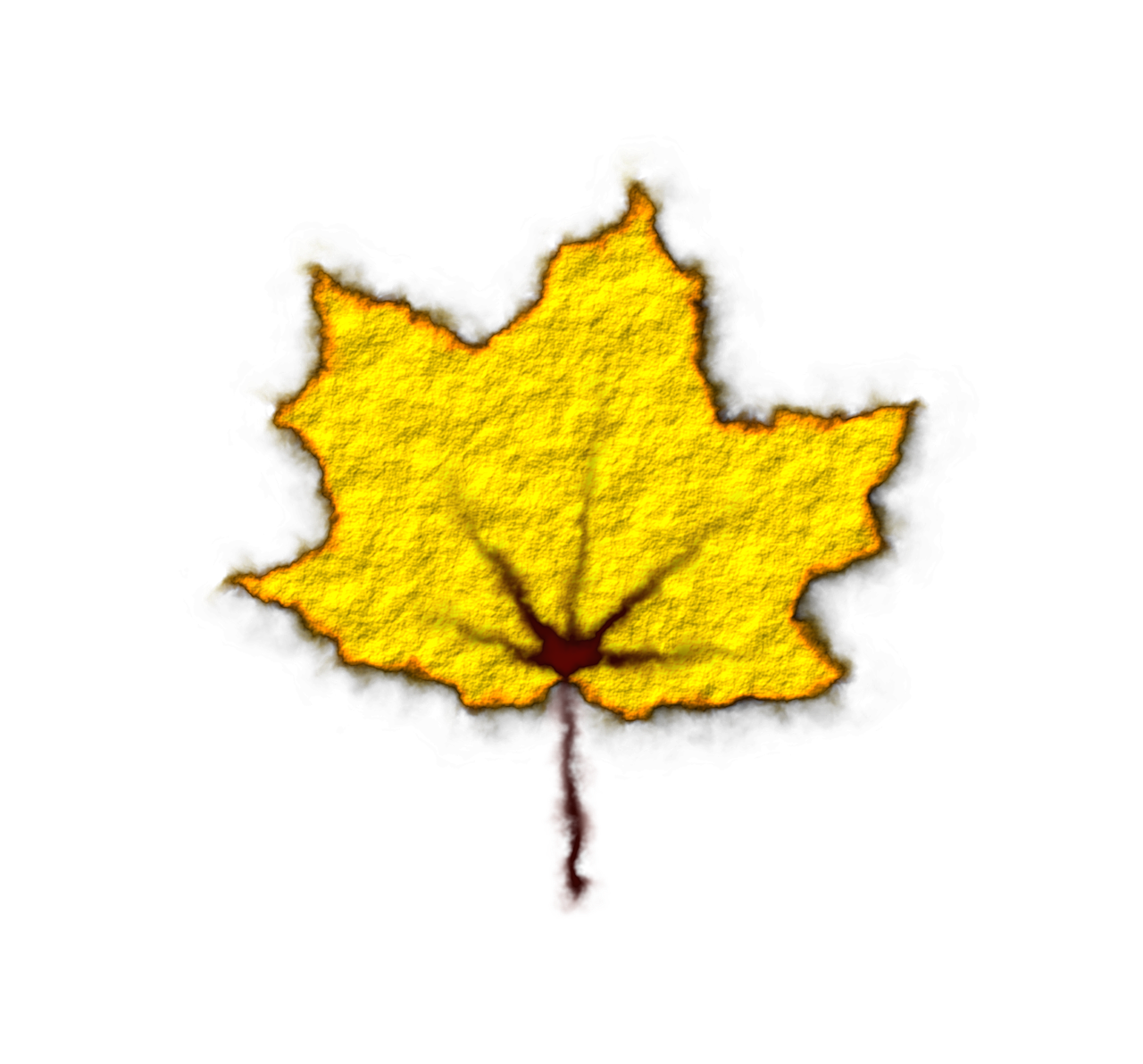 yellow maple leaf free photo