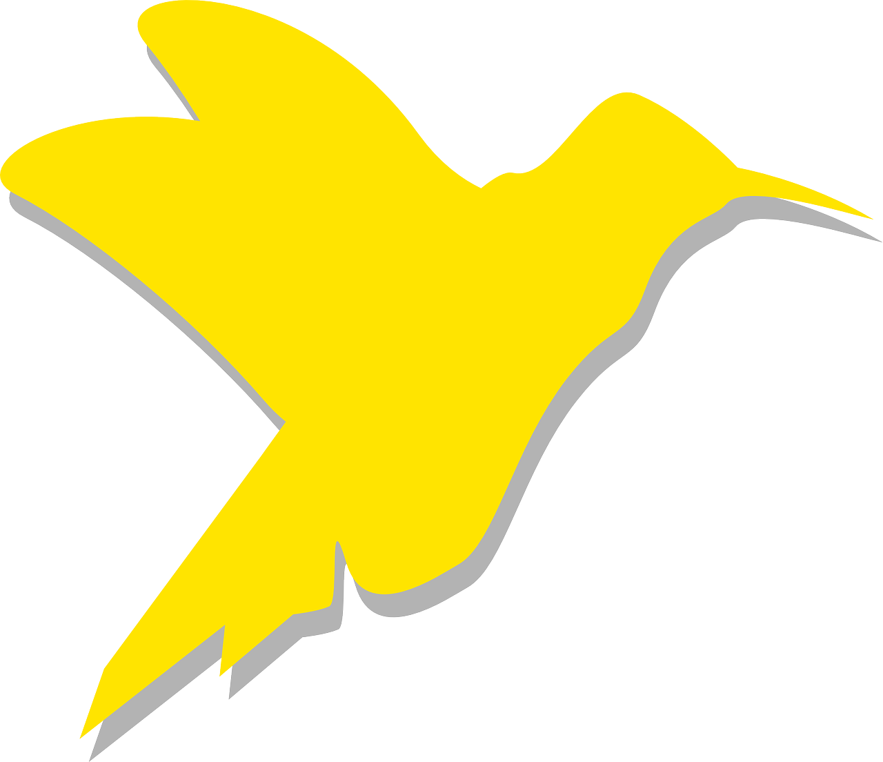 yellow silhouette bird free photo