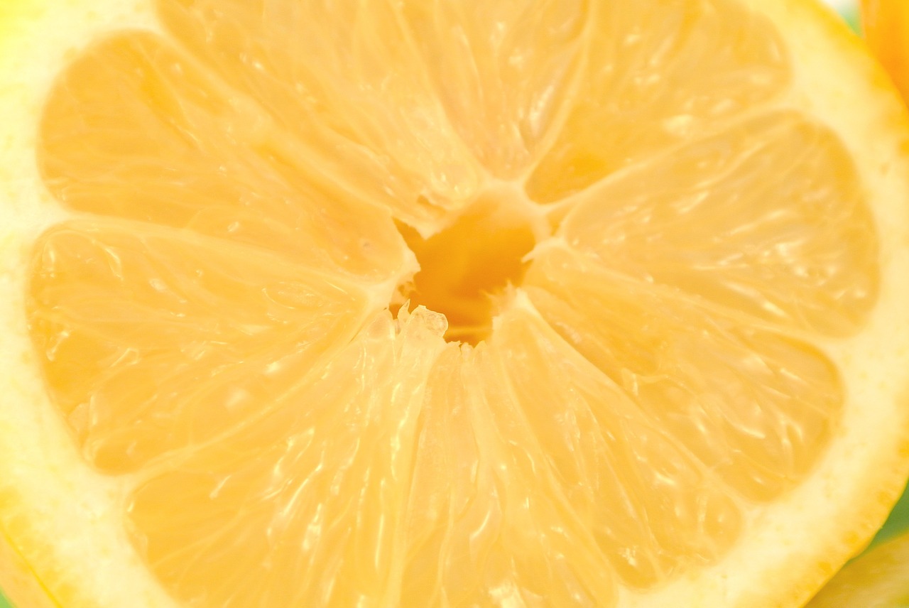 yellow lemon sour free photo