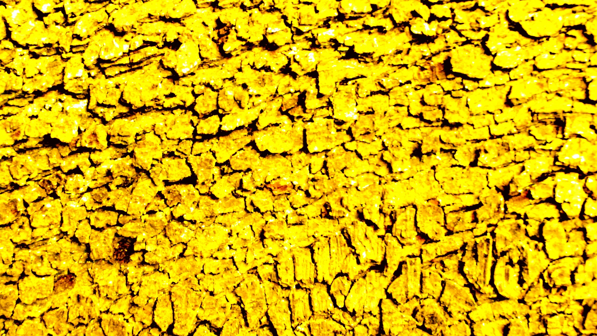 yellow background web free photo