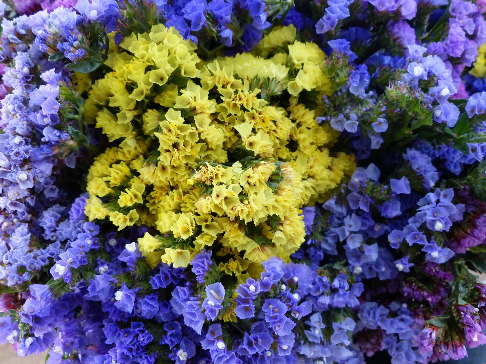 yellow purple bouquet free photo