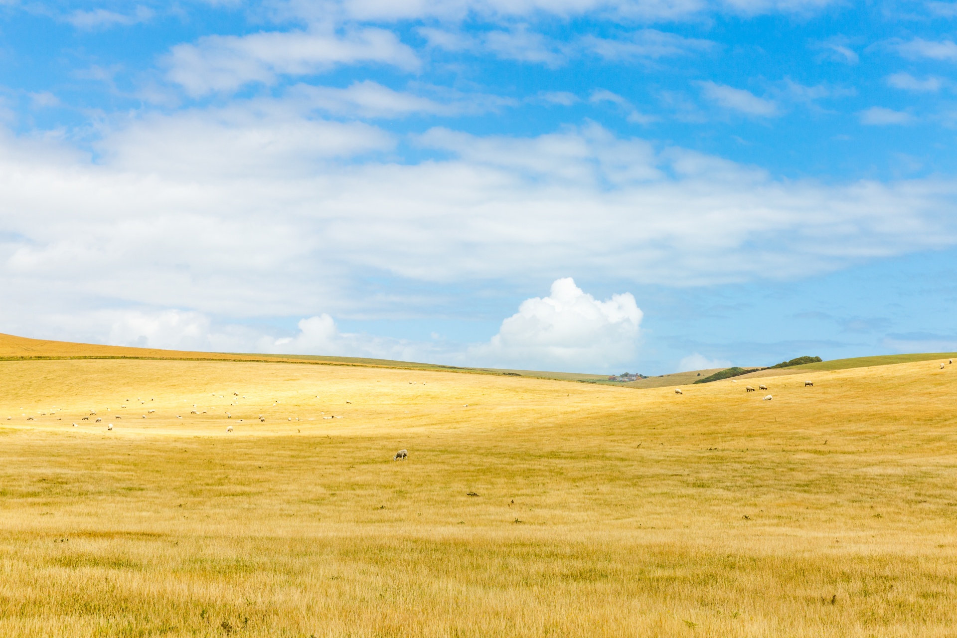 background blue farm free photo