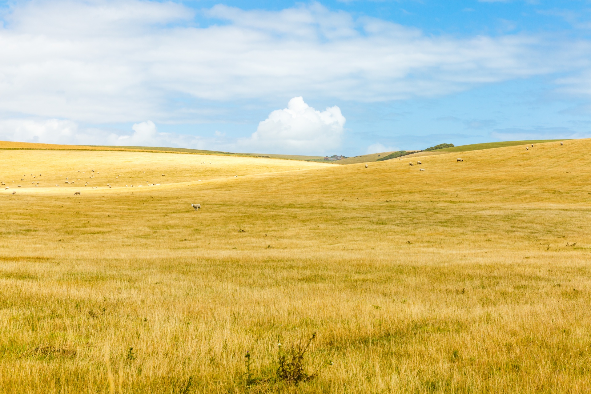 background blue farm free photo