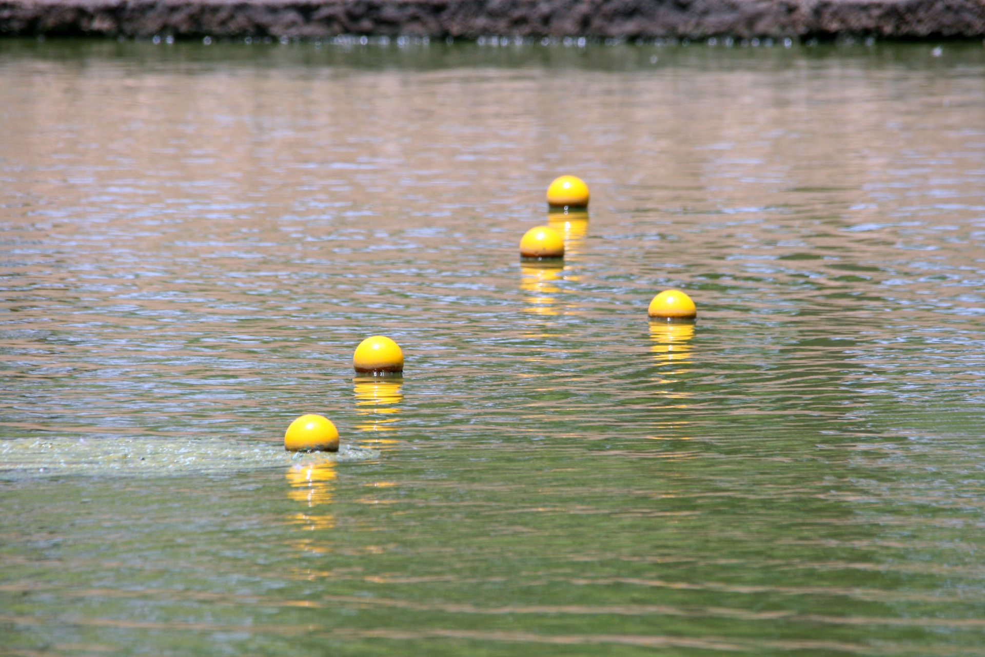 water buoys floats free photo