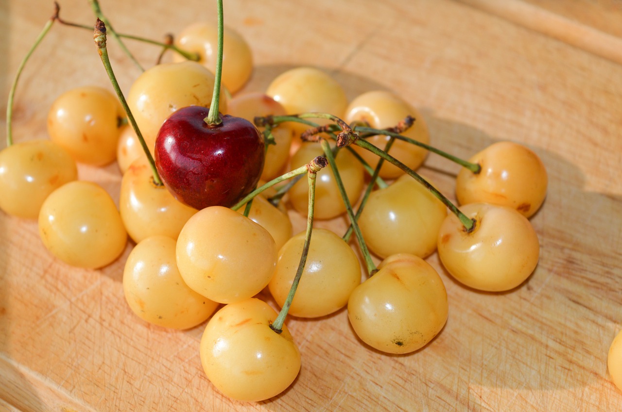 yellow cherries special other free photo