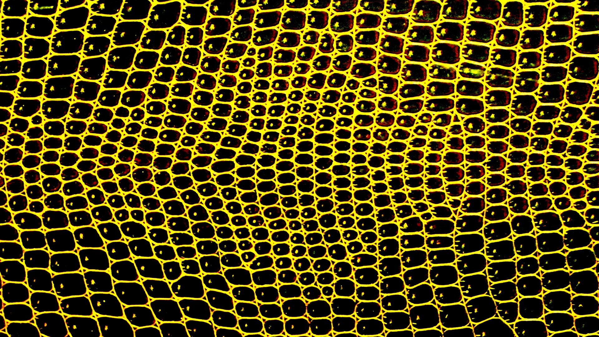 yellow background web free photo