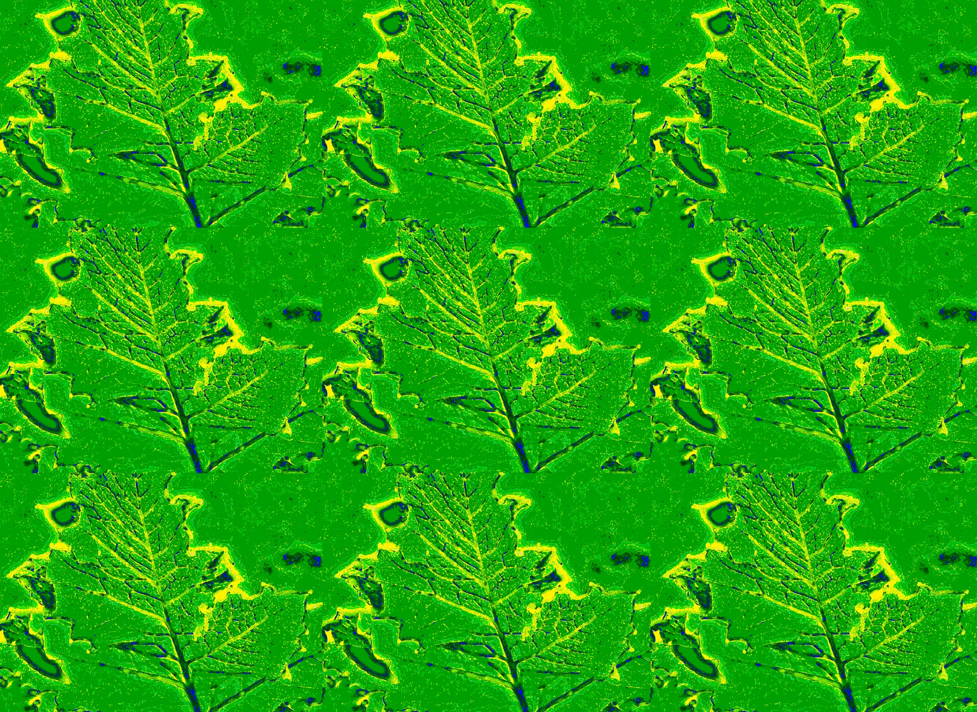 leaf repeat etched free photo