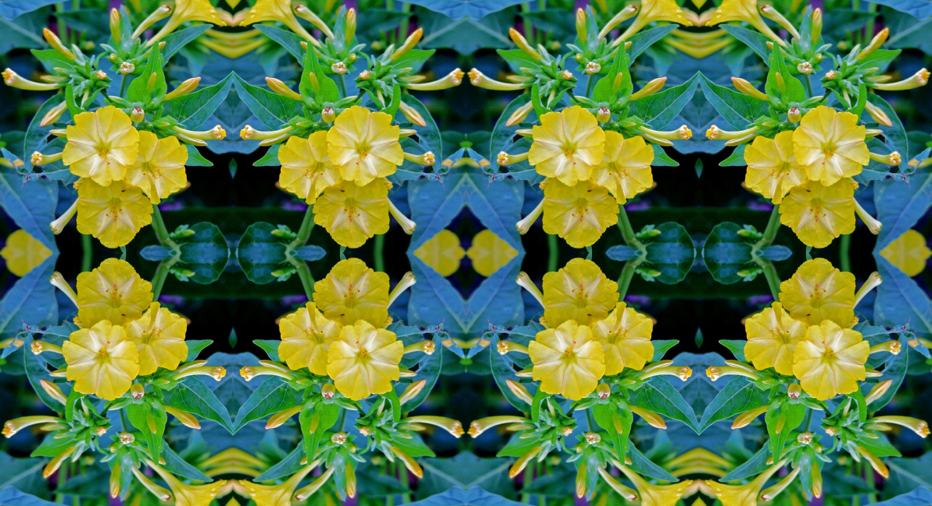 flower yellow pattern free photo