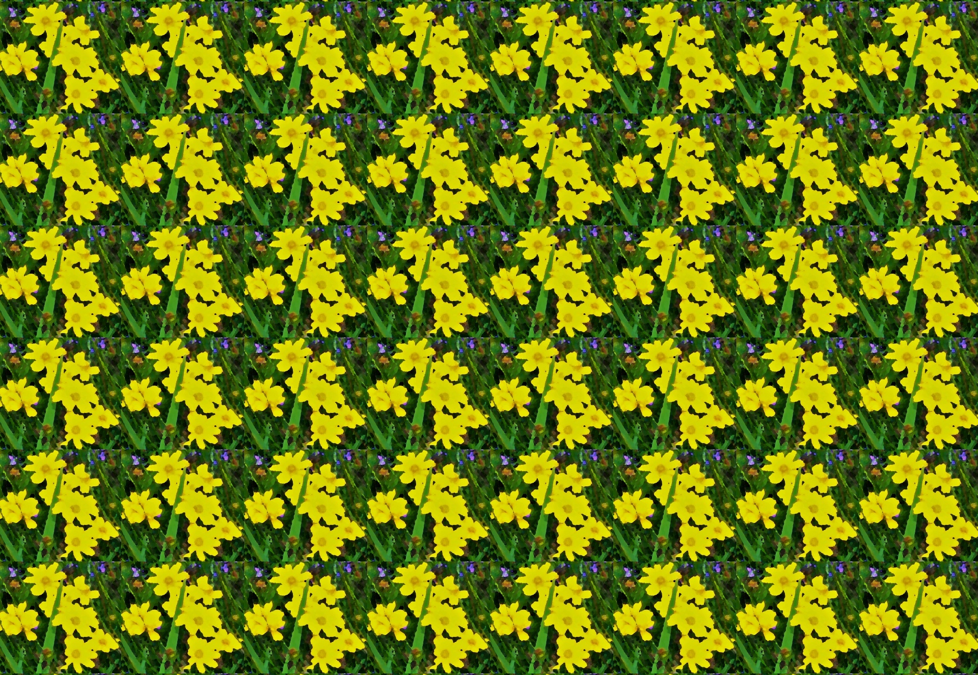 flower daisy garden free photo