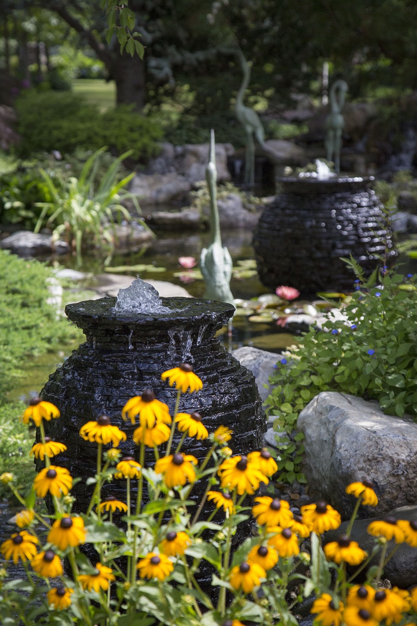 yellow flowers ponds fish free photo