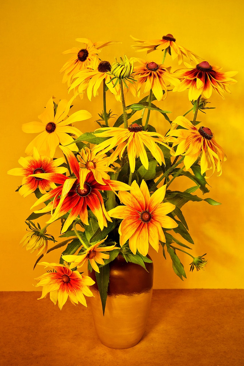 yellow flowers vase still life free photo