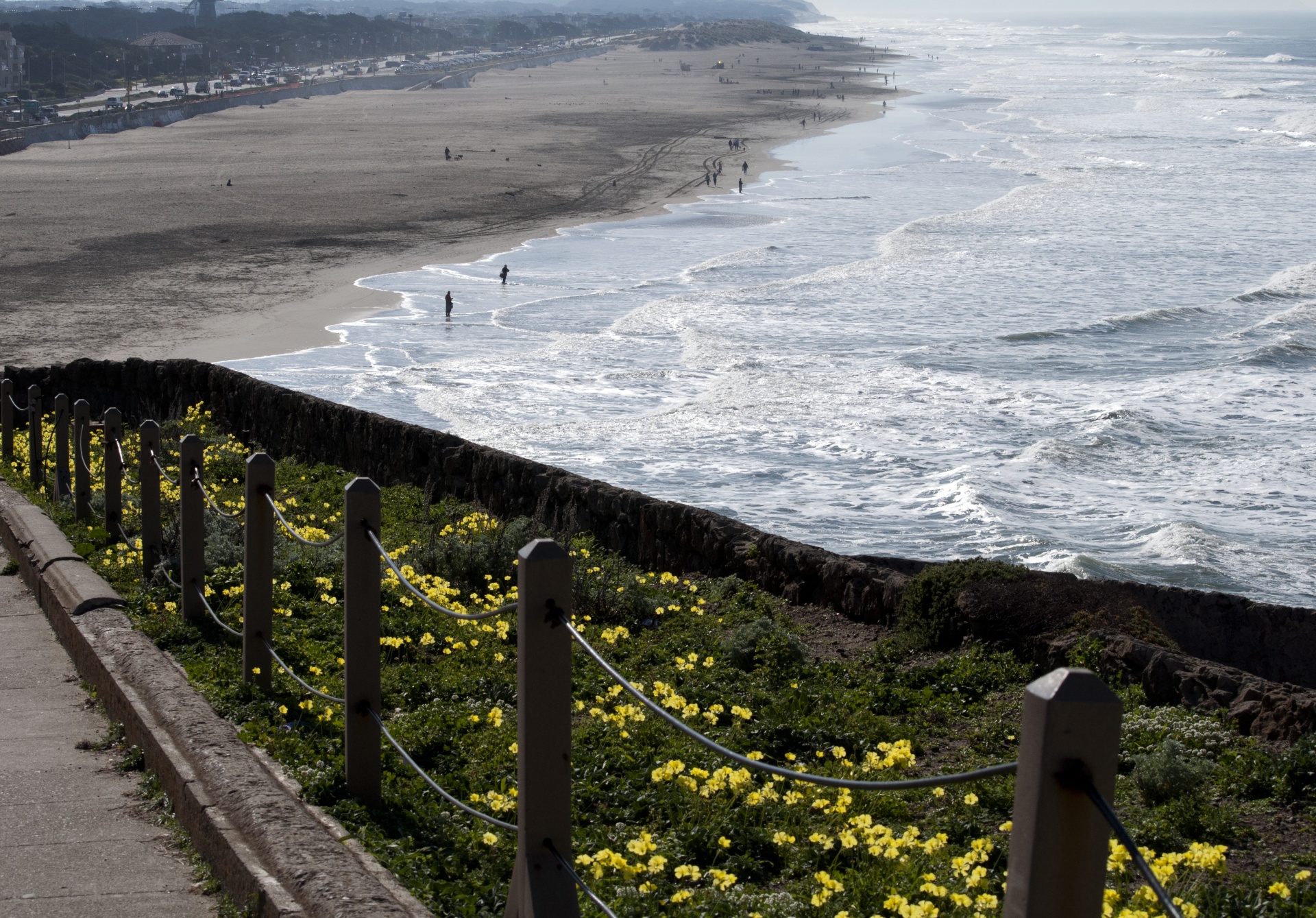 san francisco ocean beach walk free photo