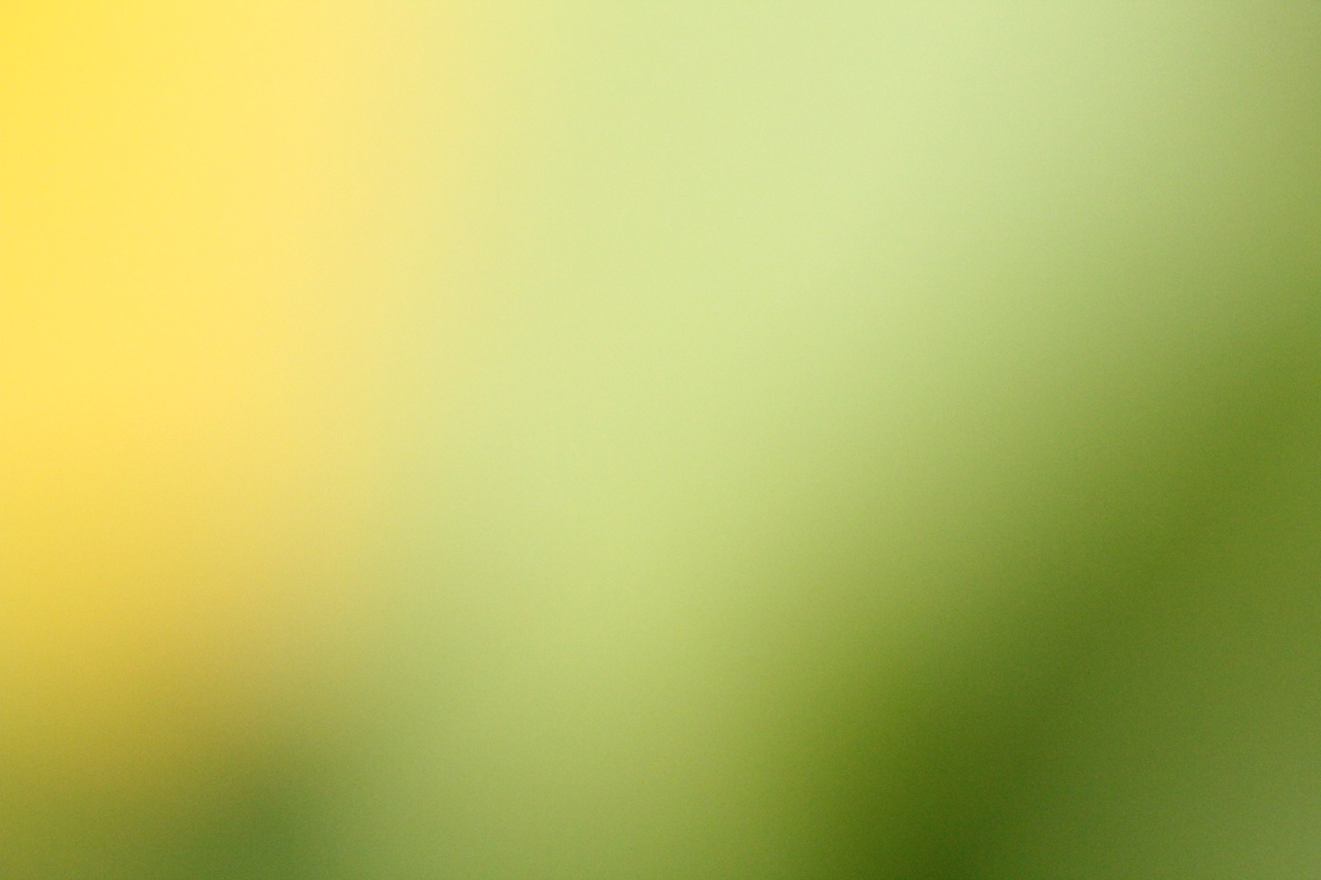 Yellow green blur background,yellow green,blur,background,wallpaper - free  image from 