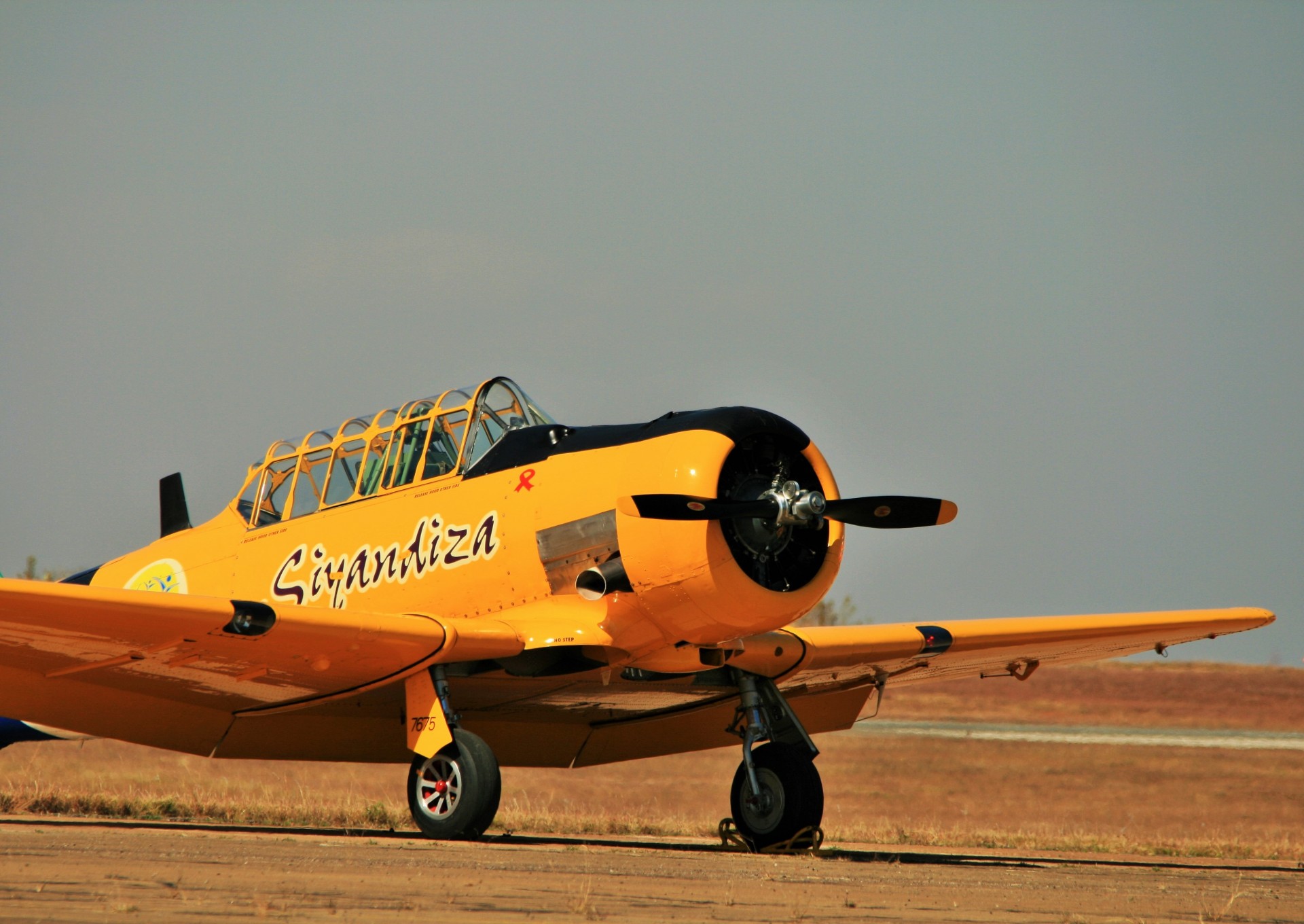 aircraft harvard trainer free photo