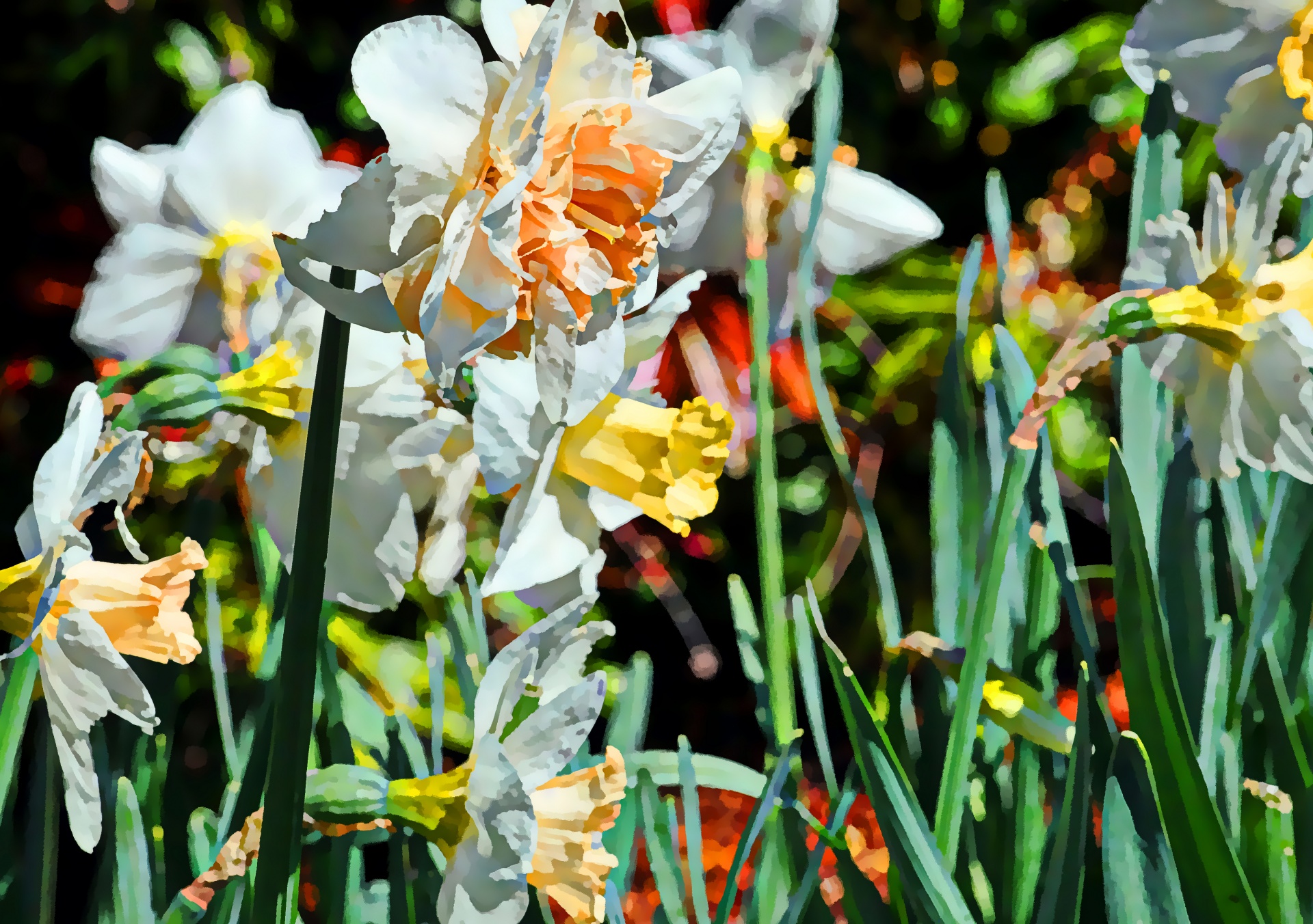 iris flower flowers free photo