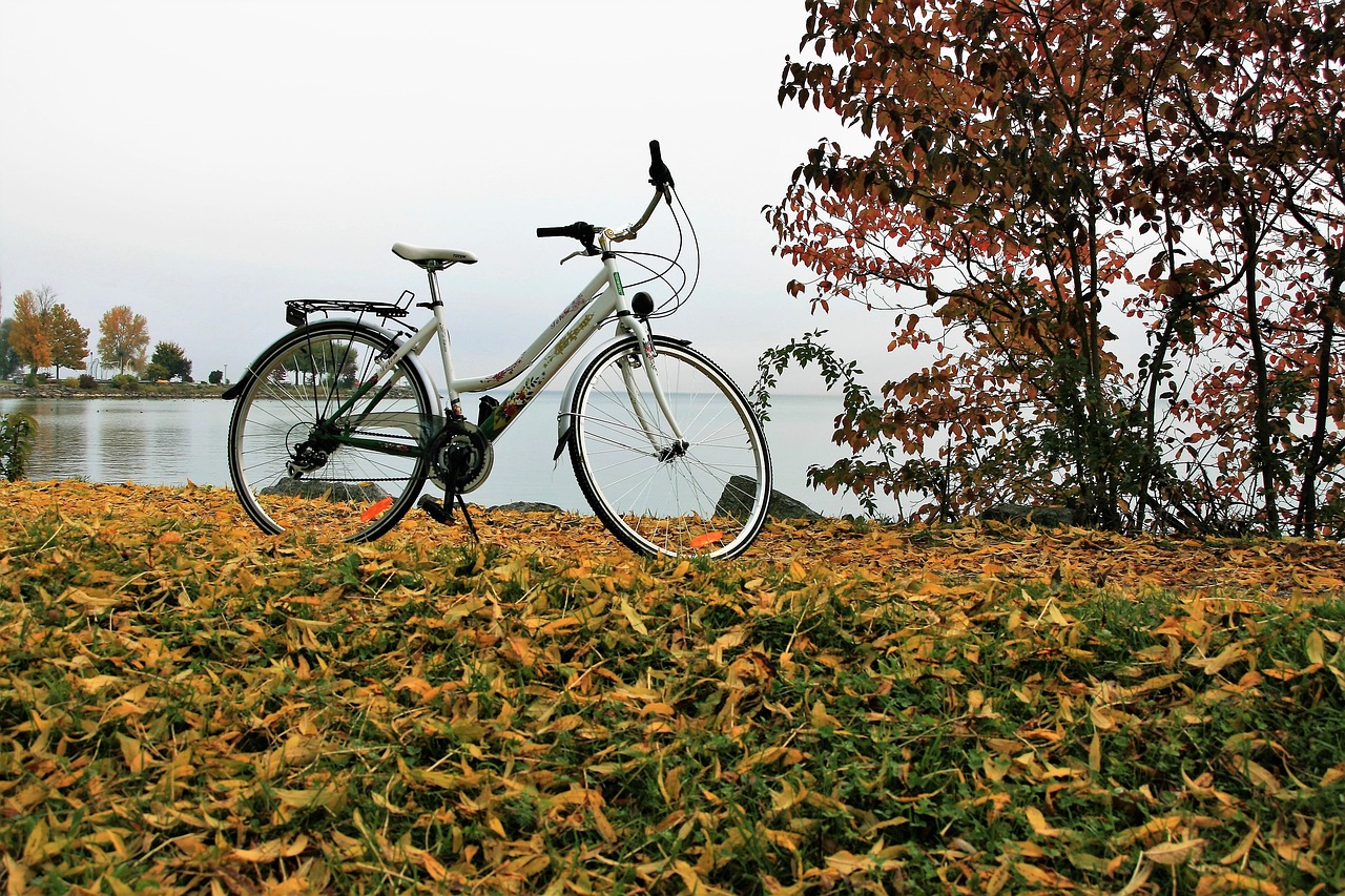 yellow leaves autumn bike free photo