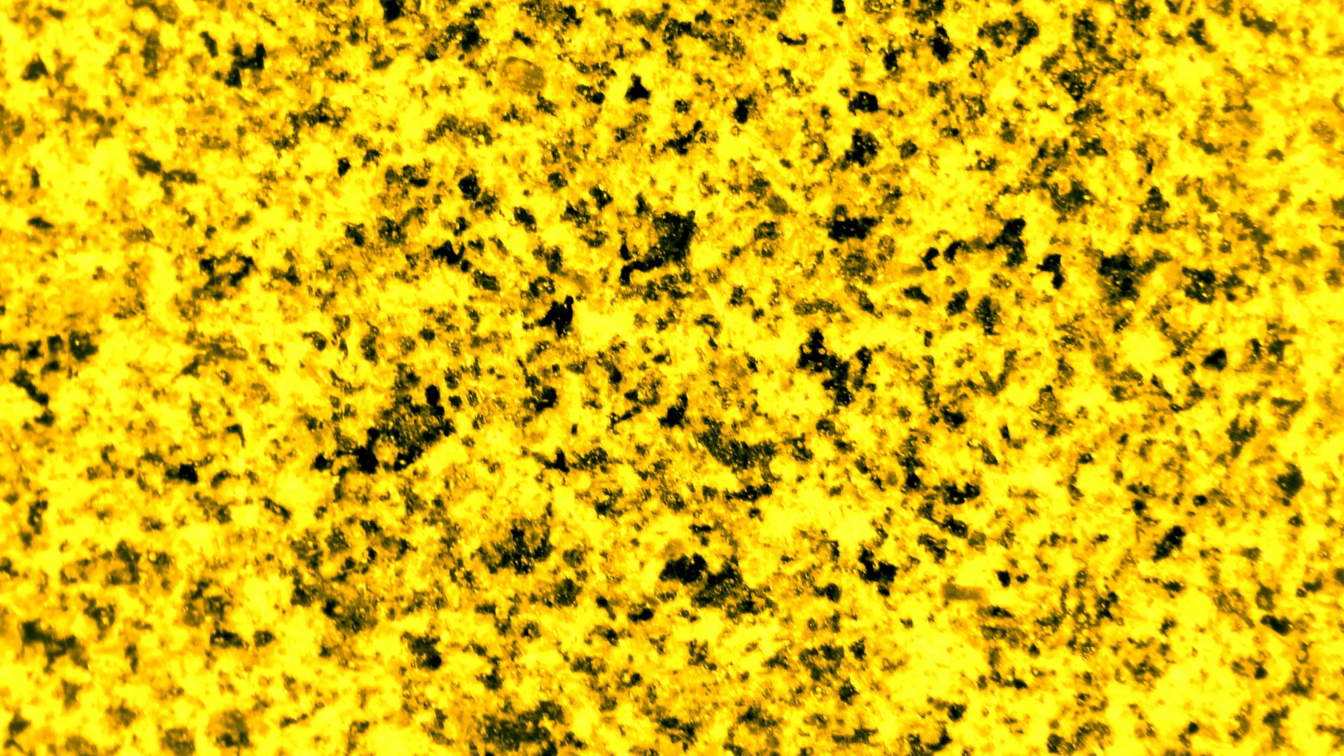 yellow web website free photo